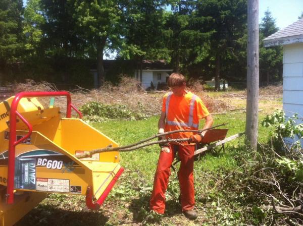 Davez Tree Service