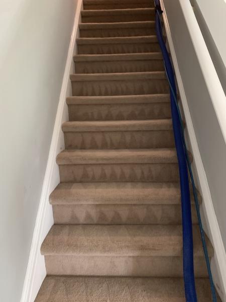 Complex Cleaning Services Carpet & Upholstery Limited