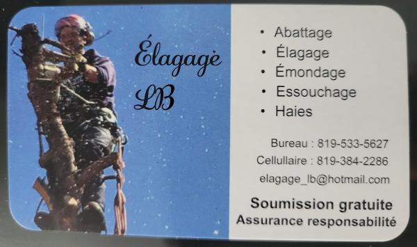 Élagage LB