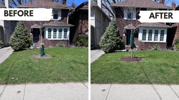 Green Trail Lawn Care