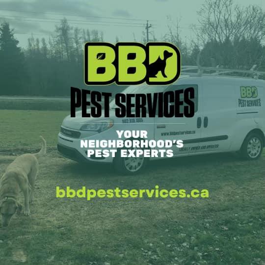 BBD Pest Services