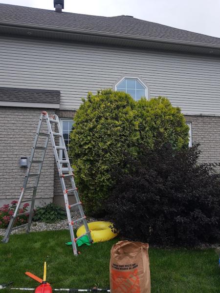 Precision Hedge and Landscaping