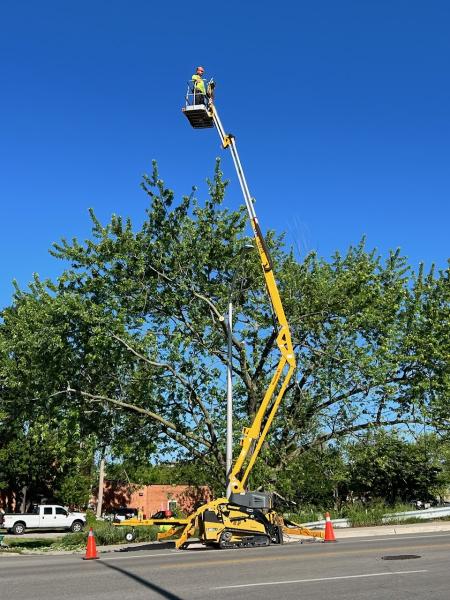 CK Tree Care