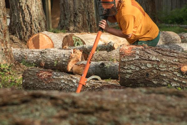 Strathcona Tree Care