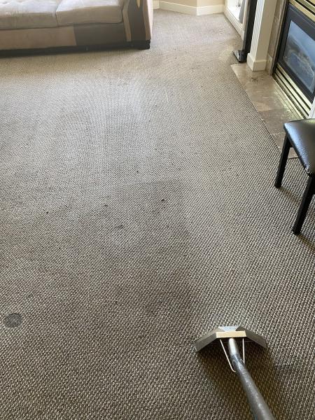 Lush Carpet Cleaning Surrey