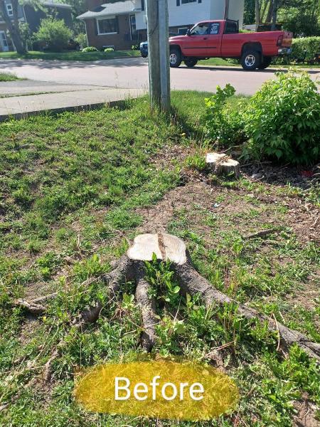 Ryan's Stump Removal & Lawn Care