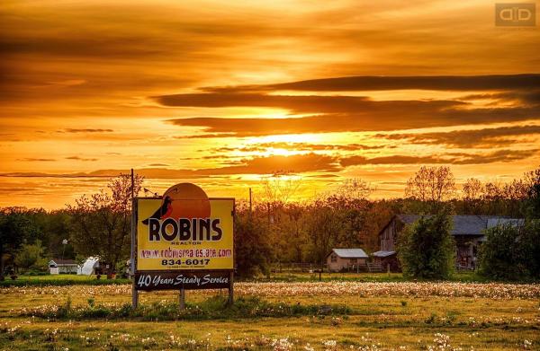 Robins Real Estate