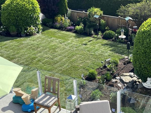 English Lawns
