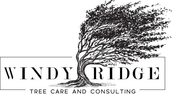 Windy Ridge Tree Care and Consulting