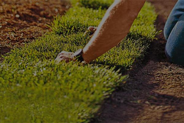 L & J Lawn Sprinklers