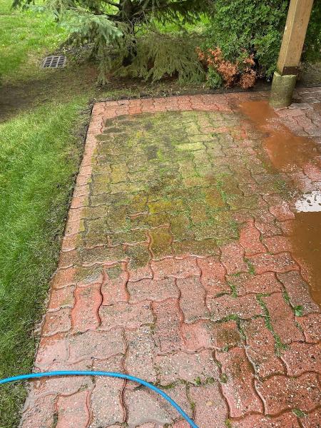 Ottawa Window Cleaners