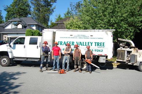 Fraser Valley Tree Service