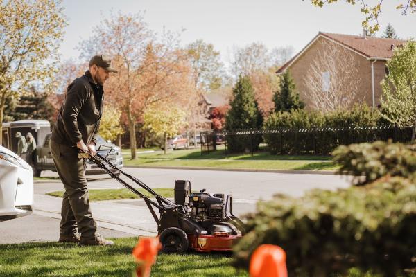 Lawn Troopers