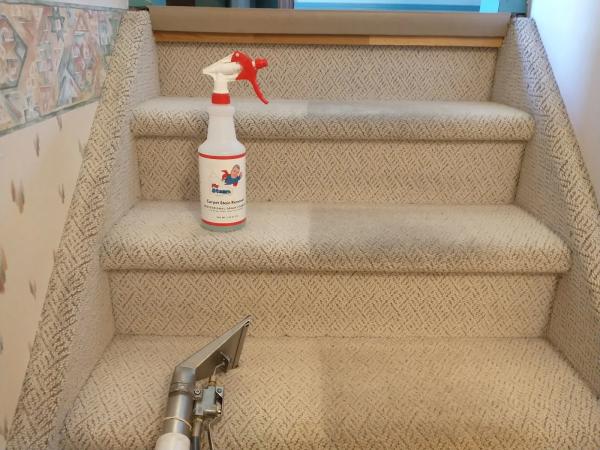 Mr. Steam Carpet Cleaning