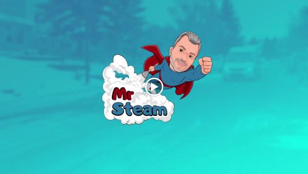 Mr. Steam- Couch & Carpet Cleaning