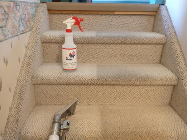Mr. Steam- Couch & Carpet Cleaning