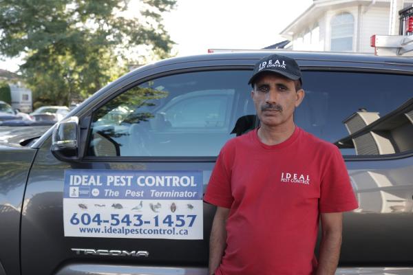 Ideal Pest Control