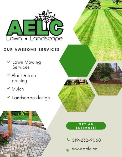 AE Lawn Care