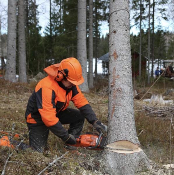 Niagara Tree Care Services