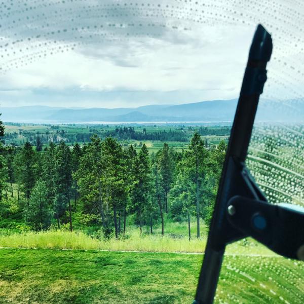 Pristine Window Cleaning