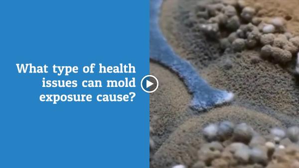 Envirofog Solutions Inc.