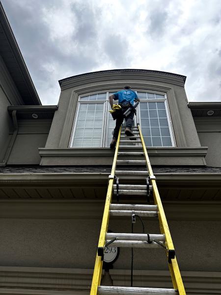 DT Cleaning Window & Eaves Cleaning