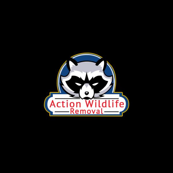 Action Wildlife Removal