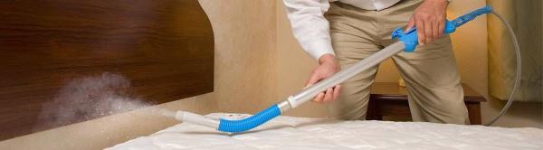Niagara Pest Extermination