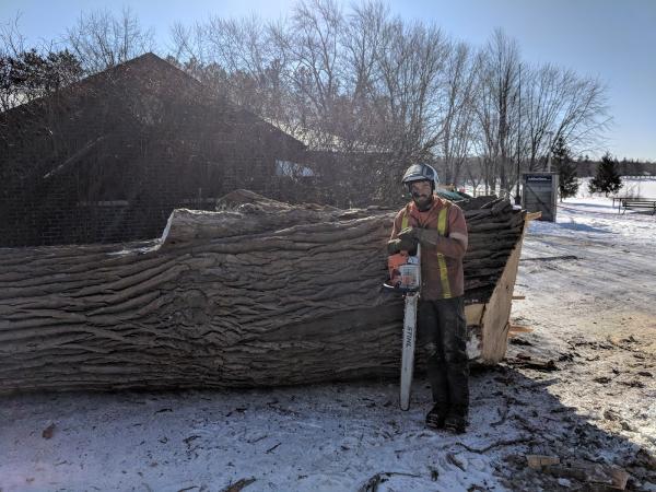 Armour Hill Tree Care