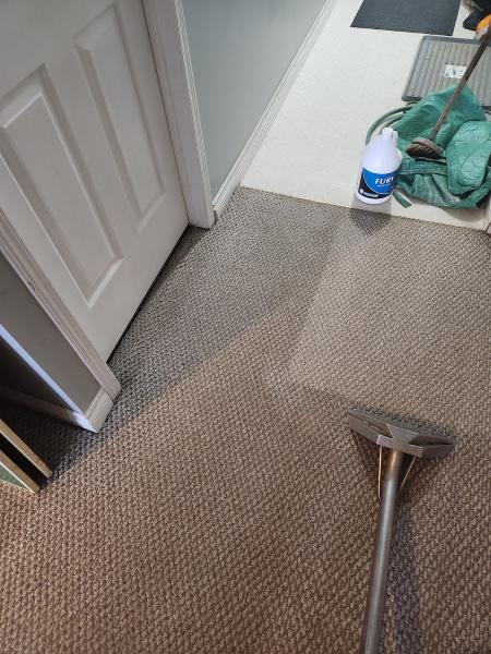 Carpetpro