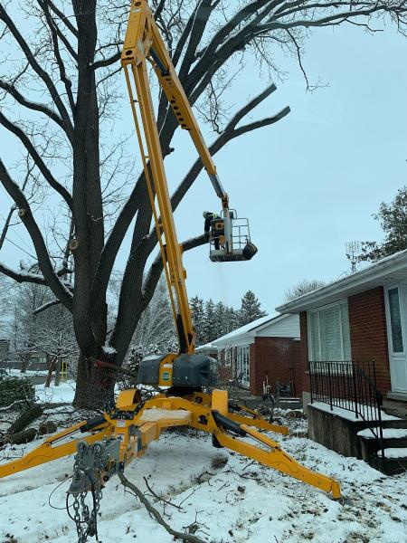 De Ruyte Tree Services