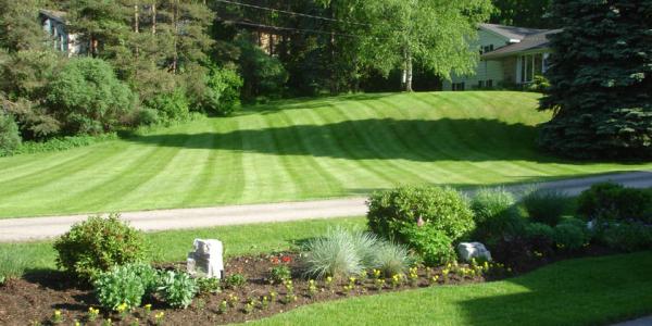 Manor Landscaping & Property Maintenance