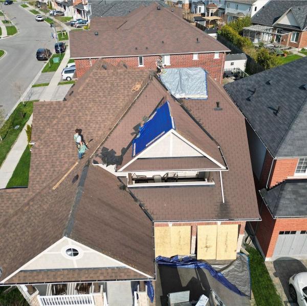 Zebra Roofing & Exteriors Edmonton