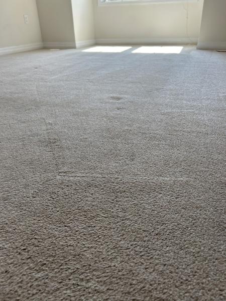 Steamworks Carpet Cleaning Inc.