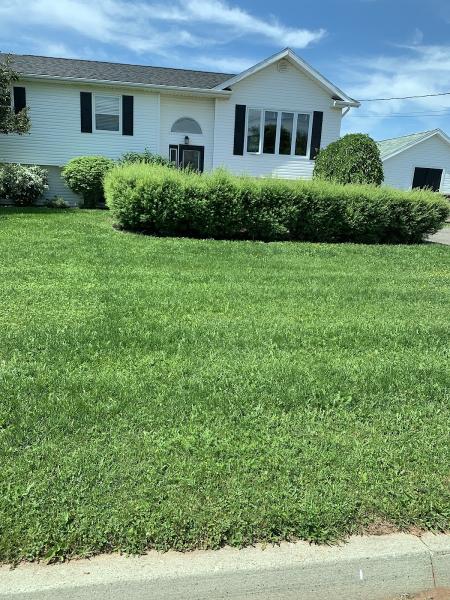 G&K Island Pro Landscaping