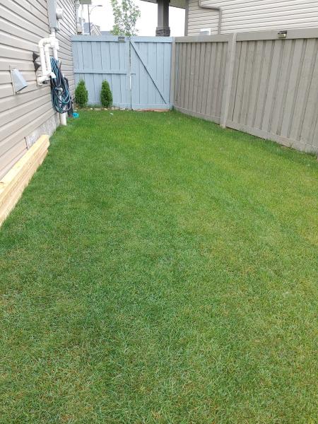 Alberta Lawn Enforcement LTD