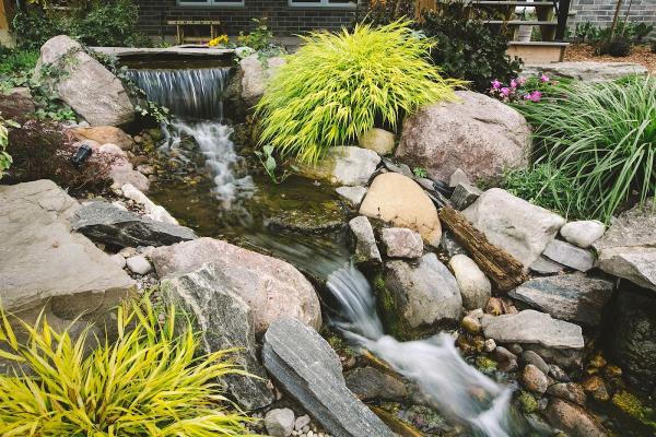 Passion Pool & Pond