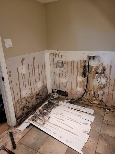 C.m.r.s Certified Mold Restoration Services