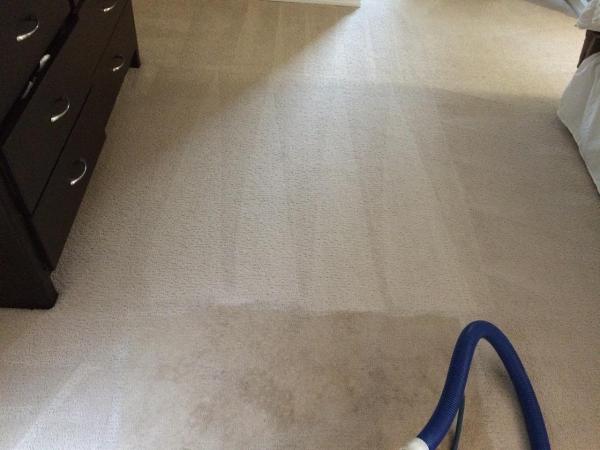 Garden City Carpet Cleaning