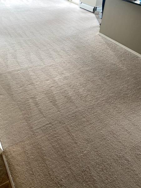 4CJ Carpet Cleaning Ltd