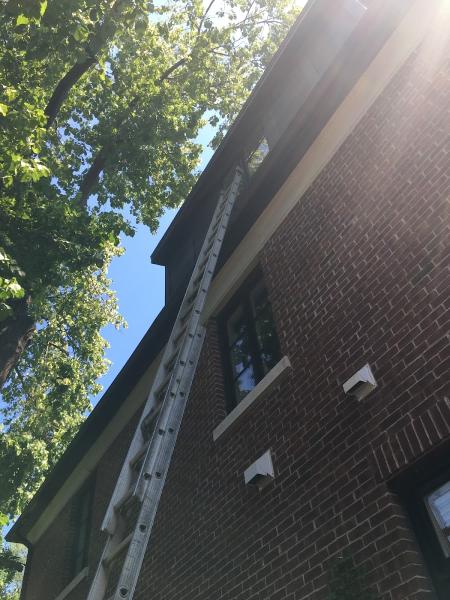 High Park Window Cleaning