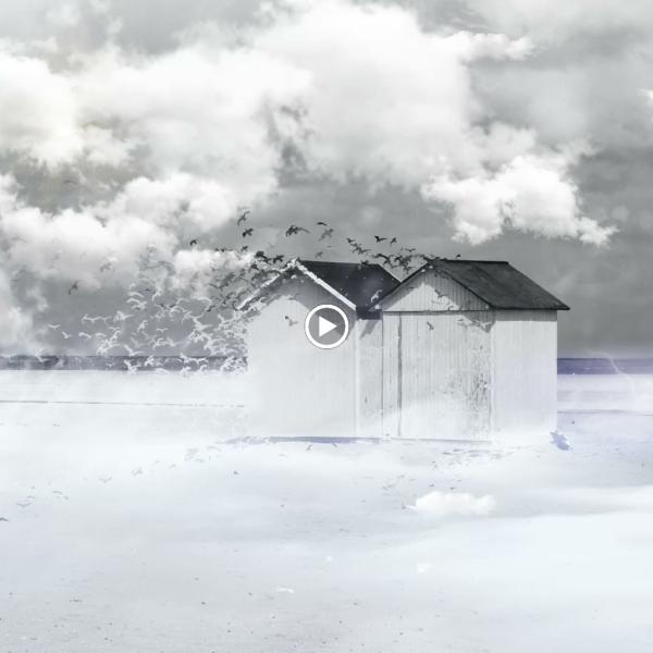 Homa Inspection Inc.