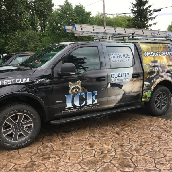 ICE Pest Control & Wildlife Removal