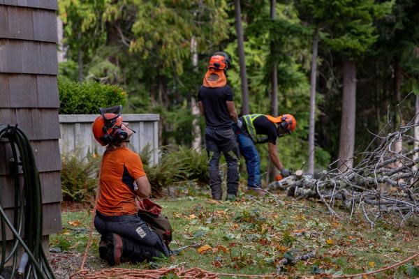 Viking Tree Care Ltd.