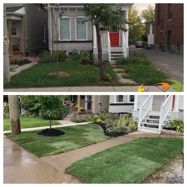 IDI Lawn Care & Snow Removal