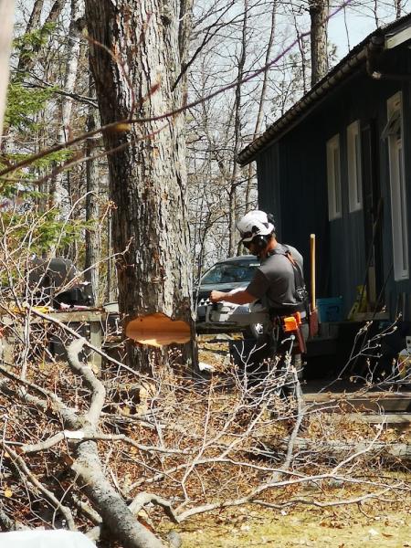 Lakeview Tree Care