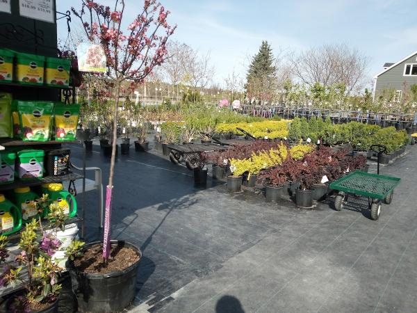 Milliken Landscaping