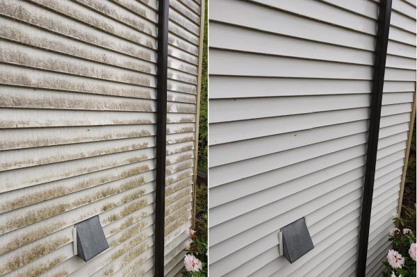 Renu Property Maintenance