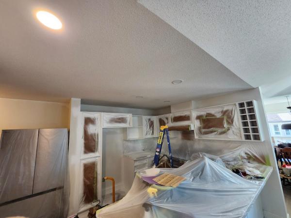 Octopus Painting and Renovations