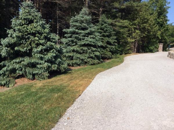 Barrie Lawn Sprinklers Inc.